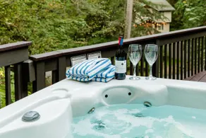 Mt. Baker Cabin - AC, Hot Tub, BBQ, WiFi, EV - Image 2
