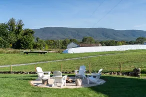 Shenandoah Valley Farmhouse & Cottage - Image 4
