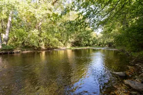 Shenandoah Valley Farmhouse & Cottage - Image 5