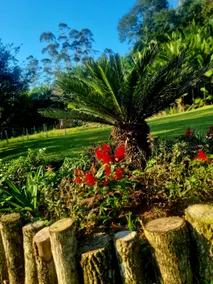 Encanto da Natureza Accommodation - Image 3
