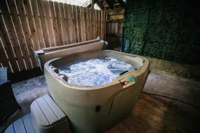 Eureka Redwood Retreat - Image 3