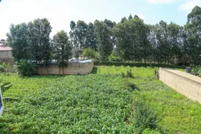 one bedroom apartments in Meru - Image 4