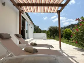 Quinta das Amoras - In the heart of the olive groves - Image 5