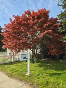 Robins Nest Inn. - Image 5