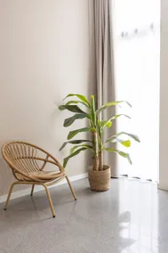 Elegant suite next to the City of Arts - Image 5