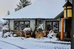 Ironstone Lodge - Luxury Living and Mountain Views - Image 5