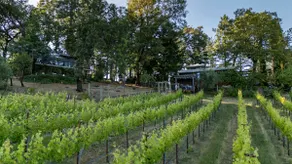 Boutique Compound on Vineyard, with Guest House - Image 4