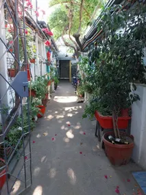 Apartment, Picturesque - Image 3