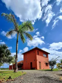 Villa La Jungla featuring a New Pool - Image 2