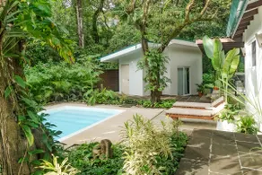 Luxury Jungle Villa - Central Located - Image 3