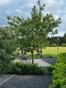 Luxury chalet with unique unobstructed views of Drenthe - Image 3