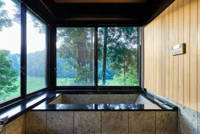 The No10 Forest Haven Villa - Image 2