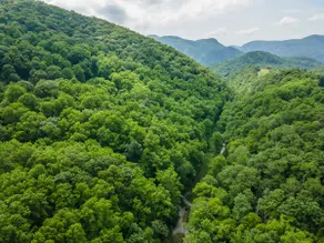 Moonlight Mountain-Discount, Luxe cabin W/Hot Tub! - Image 3