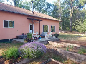 Quiet Nature Retreat - Image 3