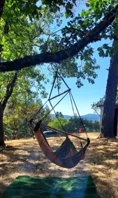 Quiet Nature Retreat - Image 2