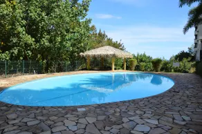 Best choice: L'oasis tahitienne - Image 2
