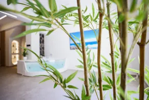 Aphrodite Suite Romantic Jacuzzi & Fireplace - Image 5