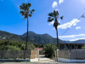 Palm tree house by the beach - Image 2