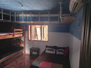 Shared room refrigerated - Image 2