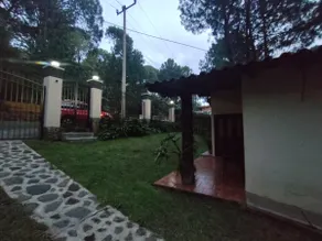 To Enjoy Nature - Image 3
