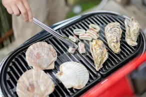 [BBQ, sauna, hinoki cypress open-air bath, and ocean view] Yuhigahama, 0-minute private villa rental for up to 8 people / 5-minute walk to the station - Image 2