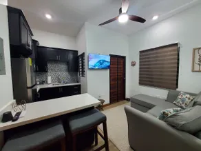 Solace King Suite # 1 New Luxury 1 Bed 1 Bath Apt. - Image 5