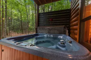 Bear Holler - Image 5