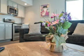 Comfy New Build Near FQ/Frenchman+Parking - Image 3