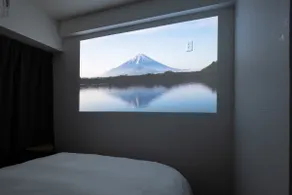 Garden Otsuka, double bed apartment 2 - Image 5
