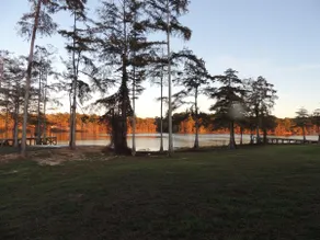 Beautiful oasis steps away from the Lake - Image 4