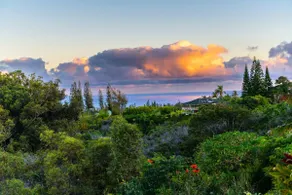 Pineapple Cottage B & B Ferienwohnung Haiku Maui, Lic # BBPHt2015 / 0011 SUP2 - Image 2
