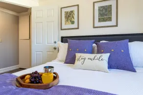 4 King Suites · 2 Kitchens · Hot Tub & Fireplace - Image 3