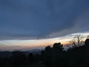Konoha Retreat - Image 5