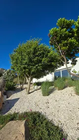 Costa Smeralda and Nature - Image 5