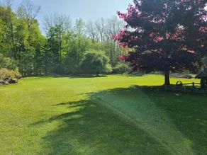 Cabin On 10 Wooded Acres Walk To Beach Lake Huron - Image 5