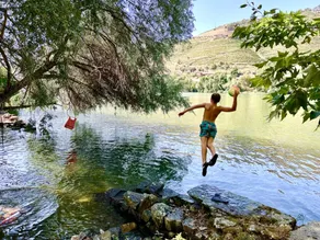 Historic Douro Valley Wine Estate - Image 5