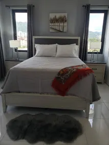 Spacious 2BR apt in upscale Manor Park, Kingston - Image 4