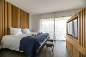 Premium 2-bedroom villa - Image 4