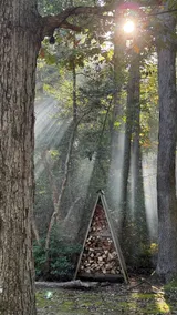 6 acres of privacy - water access/firepit/kayaks - Image 4