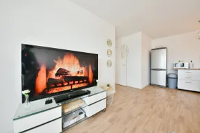 Spacious and quiet apartment. - Image 4