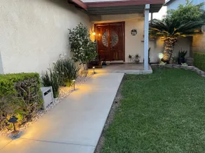 Nena’s Home Adventure! - Image 2
