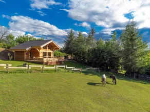 the horse cabin - Image 4