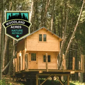 Cedar Springs Cabin at Woodland Acres - Image 2