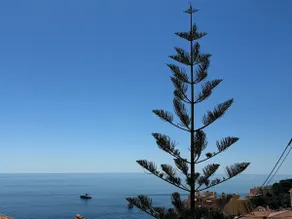 MyBlueVista LUXURY SEA VIEW PRIVATE VILLA CAP D AIL 200M MONACO - Image 5