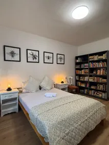Heroic Waiter Apartment Marót - Image 3