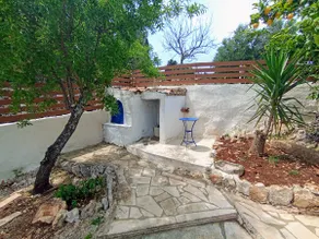 Green Olive House - Image 4
