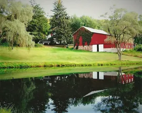 Farmhouse in beautiful countryside setting - Image 5