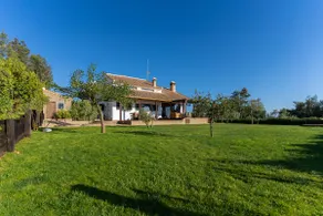 Finca Mis Morenas - Image 3