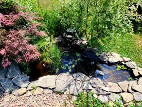 Quiet corner lot-entire home! Just 10mins-Hershey! - Image 2