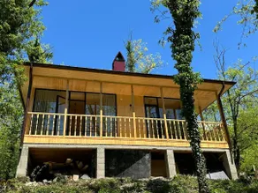 Parna’s riverside cabin surrounded by green forest - Image 3